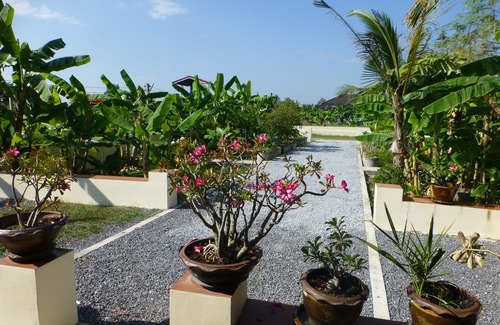 Chiang Wang Hotel | 1 Bedroom Pool Villa Tropical Fruit Garden Fast Wifi Smart Tv