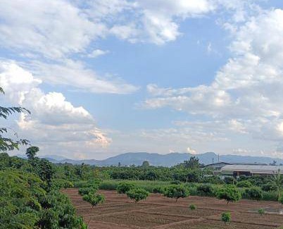 Lamphun Bed & Breakfast | 16 m² Bed and breakfast ∙ 2 guests