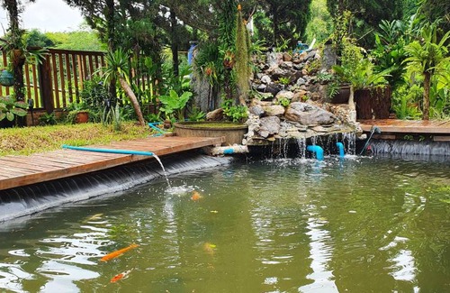 Nang Lae Bed & Breakfast | 20 m² Bed and breakfast ∙ 6 guests