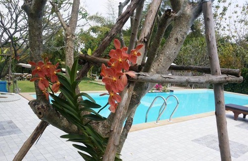 Nong Bua Resort | 20 m² Resort ∙ 3 guests