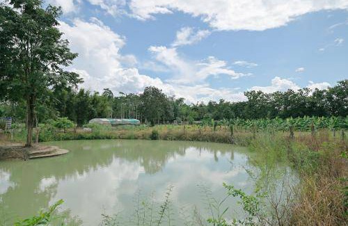 Mae Suai Bed & Breakfast | 30 m² Bed and breakfast ∙ 4 guests