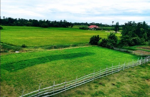 Phetchaburi Apartment | 35 m² Apartment ∙ 1 bedroom ∙ 2 guests