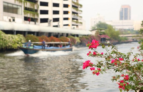 Khlong Tan Nuea Apartment | 55 m² Apartment ∙ 2 guests