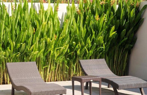 Nakhon Si Thammarat Hotel | 86 m² Hotel ∙ 2 bedrooms ∙ 5 guests