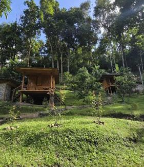 Chom Thong House | Bankhamkee Homestay