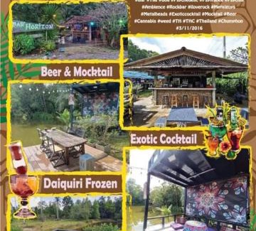 Chumphon Hostel | Bar Horizon Hostel