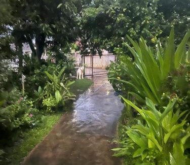 Hai Ya House | Chiang Mai Slow time