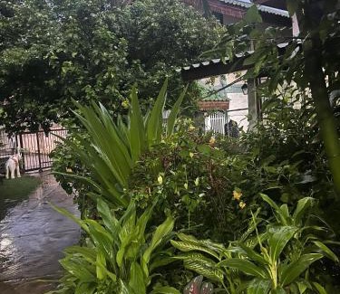 Hai Ya House | Chiang Mai Slow time