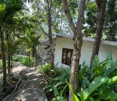 Baan Tai House | Dragon Soul Retreat Center