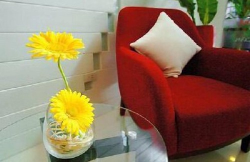 Phra Khanong Nuea Hotel | Ds67 Suites