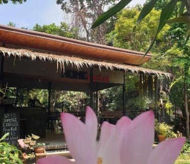 Khong Koi Beach Hostel | HomeHostel
