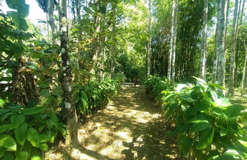 Koh Chang Tai Hostel | Hostel ∙ 8 guests