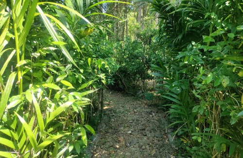 Koh Chang Tai Hostel | Hostel ∙ 8 guests