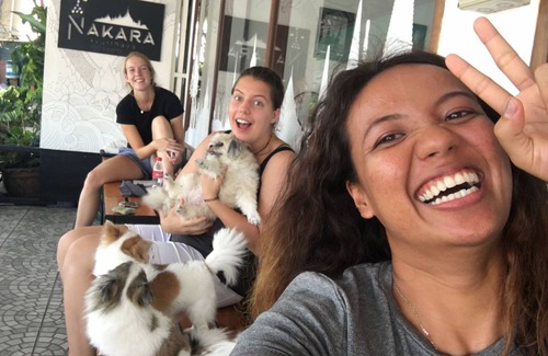 Ayutthaya Hostel | Hostel ∙ 8 guests