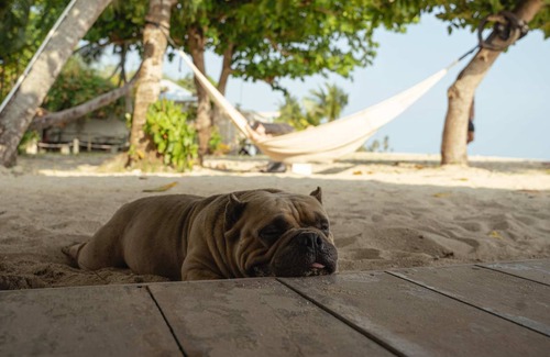 Ko Pha-ngan Hostel | Hostel ∙ 8 guests