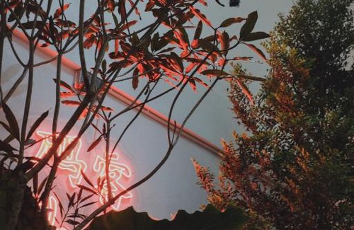 Kantang House | Matou Hostel & Cafe