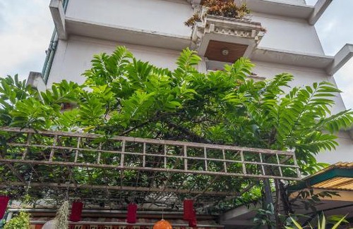 Chana Songkhram Hostel | New Siam 1 Guest House
