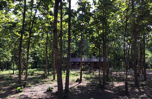 Wang Chan Resort | Private room ∙ 1 guest