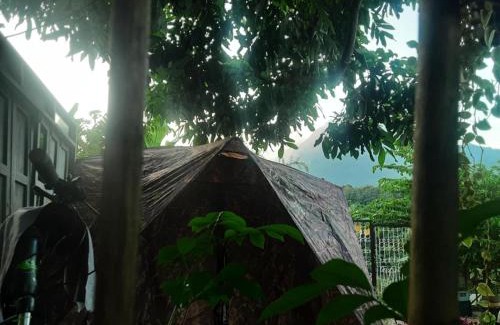 Chiang Dao Other | Samatha Camper