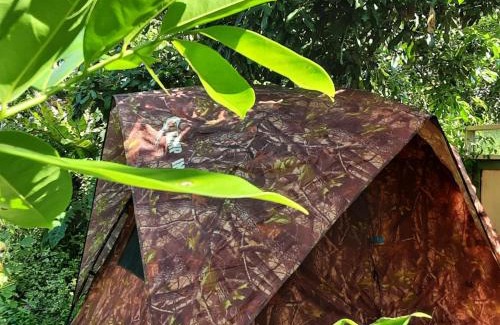 Chiang Dao Other | Samatha Camper