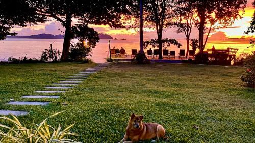 Ranong House | Starlight Beach Resort