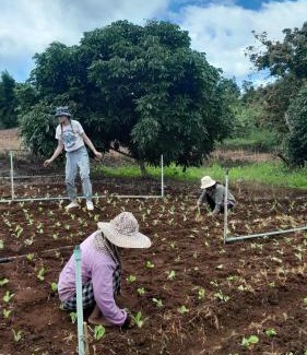 Samoeng Other | Watchara organic farm