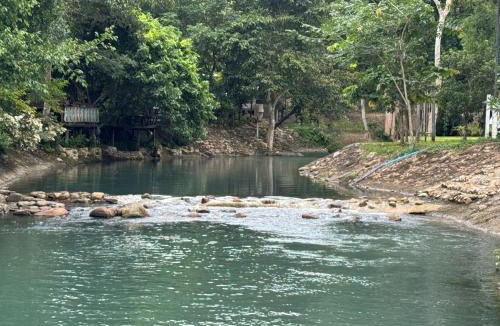 Khao Yai National Park Cabin | กางเขา แคมป์ปิ้ง