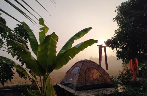 Nan House | ต้งโฮมสเตย์ กลางทุ่งนา Local Homestay and View