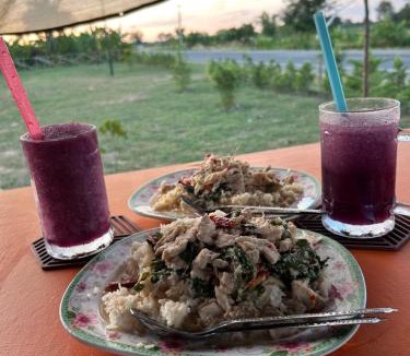 Buriram Other | ทุ่งนากางเต้นท์ Countryside