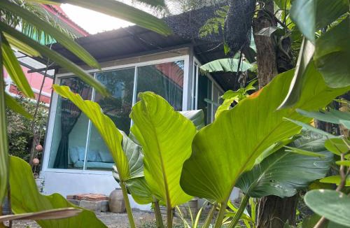 Songkhla House | นอกท่องคอฟฟี่ Nok Thong Coffee