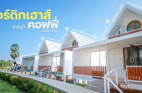 Nongbua Lamphu Bed & Breakfast | นอร์ดิกเฮ้าส์ แอนด์ คอฟฟี่หนองบัวลำภู