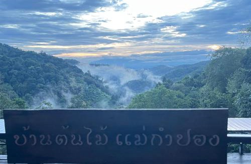 Mae On Bed & Breakfast | บ้านต้นไม้แม่กำปอง Baan TONMAI MAEKAMPONG