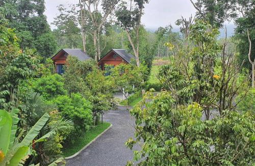 Thung Song Apartment | บ้านสวนเรินย่า(เรินย่าคาเฟ่)