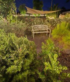 Nong Sarai House | บ้านเป็ดน้อย Little duck cottage