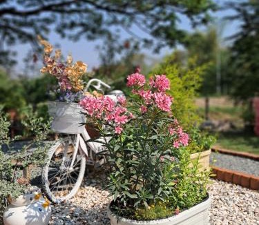 Nong Sarai House | บ้านเป็ดน้อย Little duck cottage