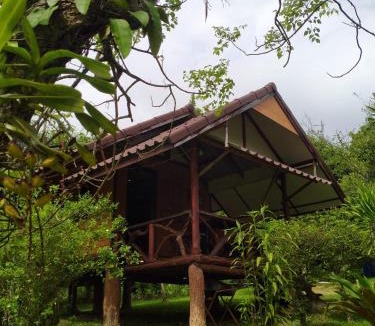 Wang Nam Khiao House | บ้านไร่ชายเขาวังน้ำเขียวฟาร์มสเตย์