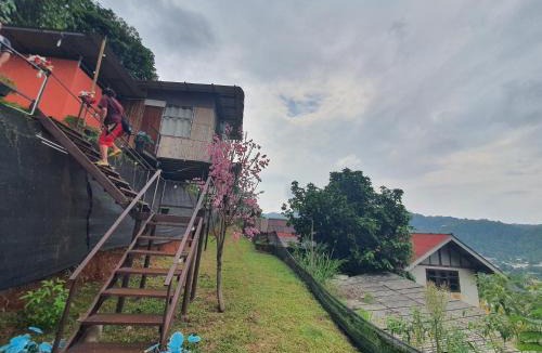 Pong Yaeng Other | พิงดอย โป่งแยง