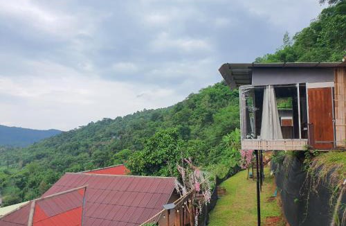 Pong Yaeng Other | พิงดอย โป่งแยง