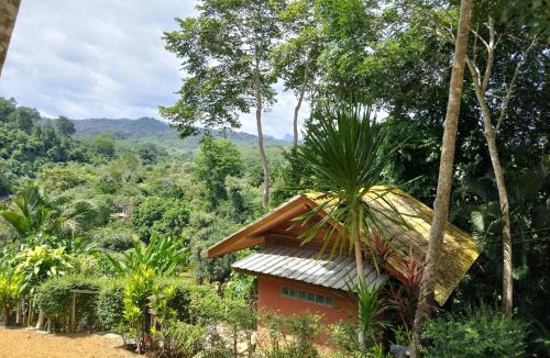 Ban Ta Khun House | ภูริรักษ์ โฮมสเตย์
