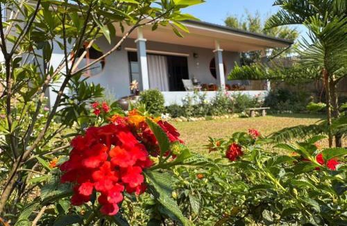 Chiang Dao Villa | ม่อนหมอกเชียงดาว