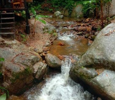 Mae On Cabin | สายน้ำและขุนเขาแม่กำปอง The River & Mountain maekampong