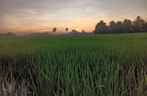 Cha-am House | สุขเสมอ โฮมสเตย์ (Suk-Samer homestay)