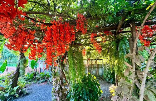Ban Dung House | หลัง 1 เฌอเฌอ การ์เด้น เฮาส์ ที่พักคำชะโนด