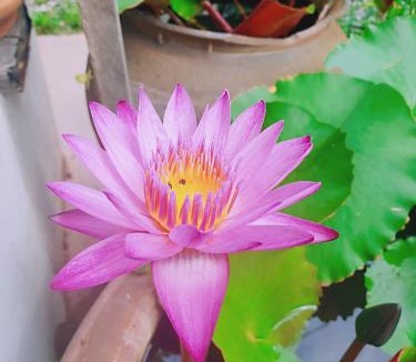 Nong Khai Hostel | ฮักเคียงโขง HUG Khieng Khong Nongkhai Hostel
