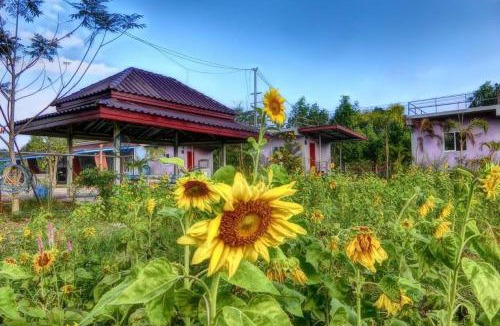 Sa Kaeo Hotel | เครือเคียงดาวรีสอร์ท