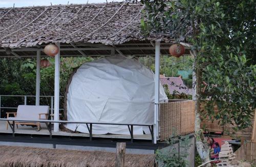 Mok Cham Pae Other | เห็ดเหลือง แคมป์โซนเต็นท์โดมDome tents Camping Zone Hedreung Rakthai camping