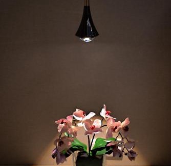 Nong Chaeng Villa | 芭提雅快乐老家
