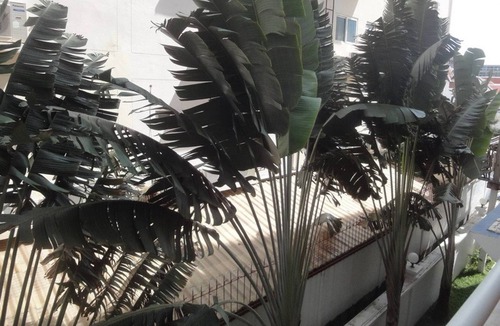 Pratumnak Hill Condo | 1 Bedroom View Swimming Pool 316 Jhr