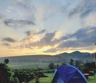Wiang Pa Pao Resort | 1000 m² Resort ∙ 20 guests