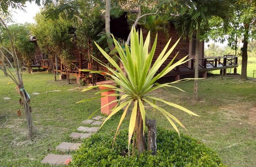 Huai Sai Cabin | 120 m² Lodge ∙ 9 guests